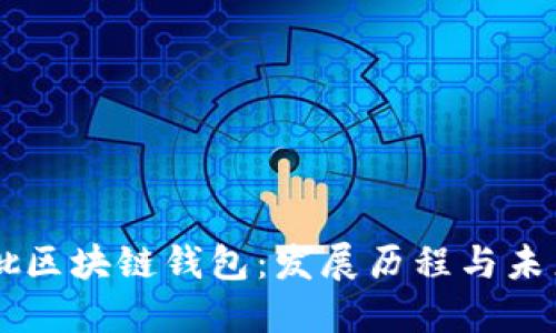 第一批区块链钱包：发展历程与未来展望