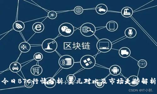 今日BTC行情分析：美元对比及市场走势解析