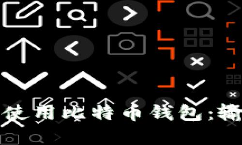 如何安全地选择和使用比特币钱包：输入网址的详细指南