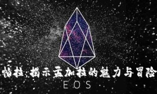 坎它帕拉：揭示孟加拉的魅力与冒险之旅