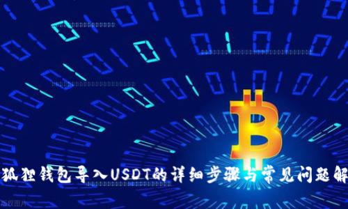 小狐狸钱包导入USDT的详细步骤与常见问题解答