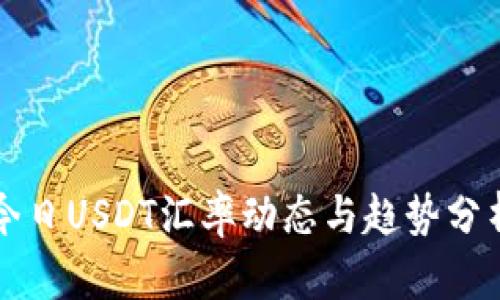 今日USDT汇率动态与趋势分析