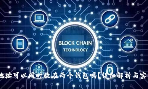 USDT地址可以同时放在两个钱包吗？详细解析与实用指南