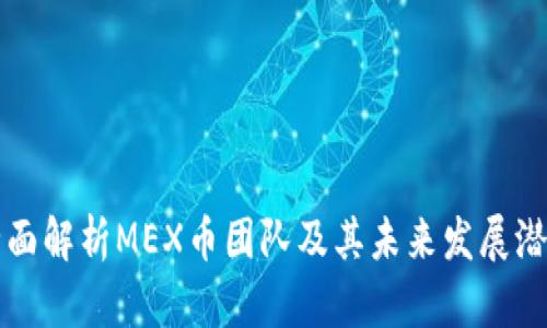 全面解析MEX币团队及其未来发展潜力