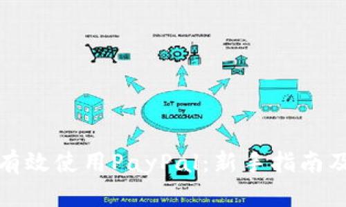 如何有效使用PayPal：新手指南及技巧