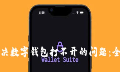 如何解决数字钱包打不开的问题：全面指南