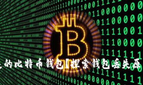 如何找回丢失的比特币钱包？探索钱包丢失原因及恢复方法