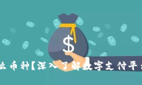 PayPal是什么币种？深入了解数字支付平台的货币功能