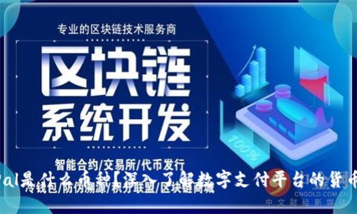 PayPal是什么币种？深入了解数字支付平台的货币功能