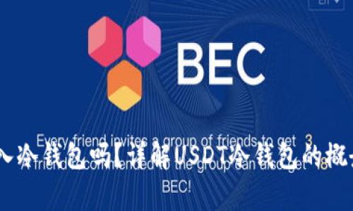 USDT可以存入冷钱包吗？详解USDT冷钱包的概念与使用方法